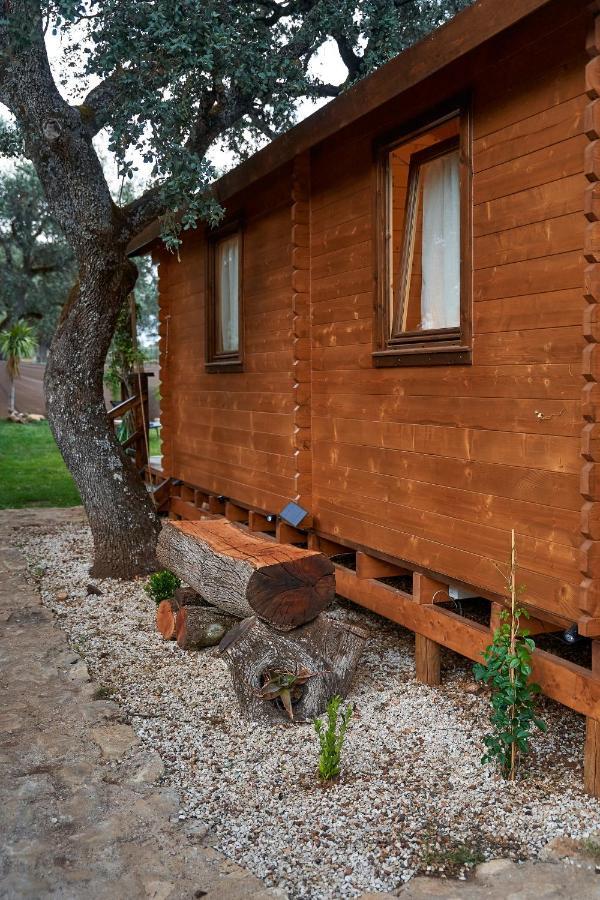 Cabana Rural El Arbol Near Setenil - Ronda Con Piscina المظهر الخارجي الصورة